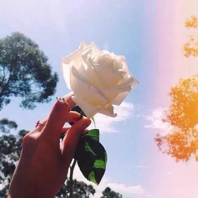 一只小景锂