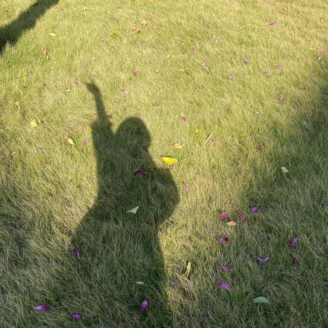 时光手写