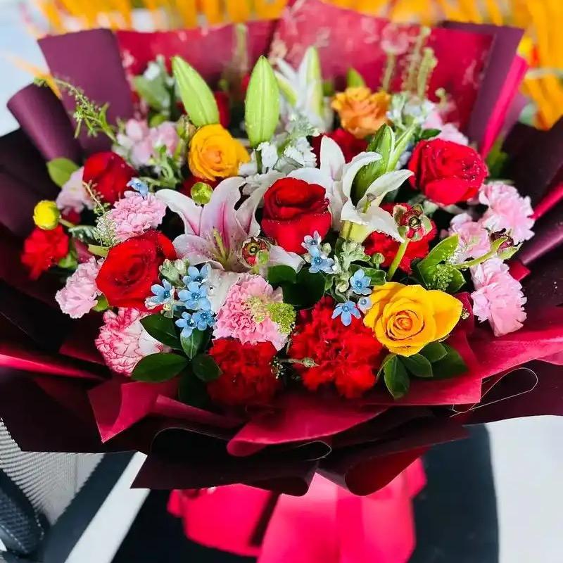 杨杨优选