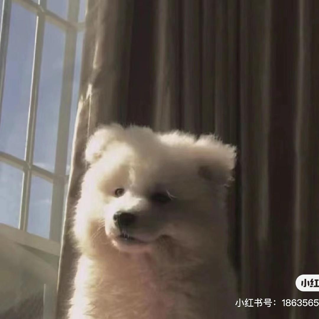 绵绵