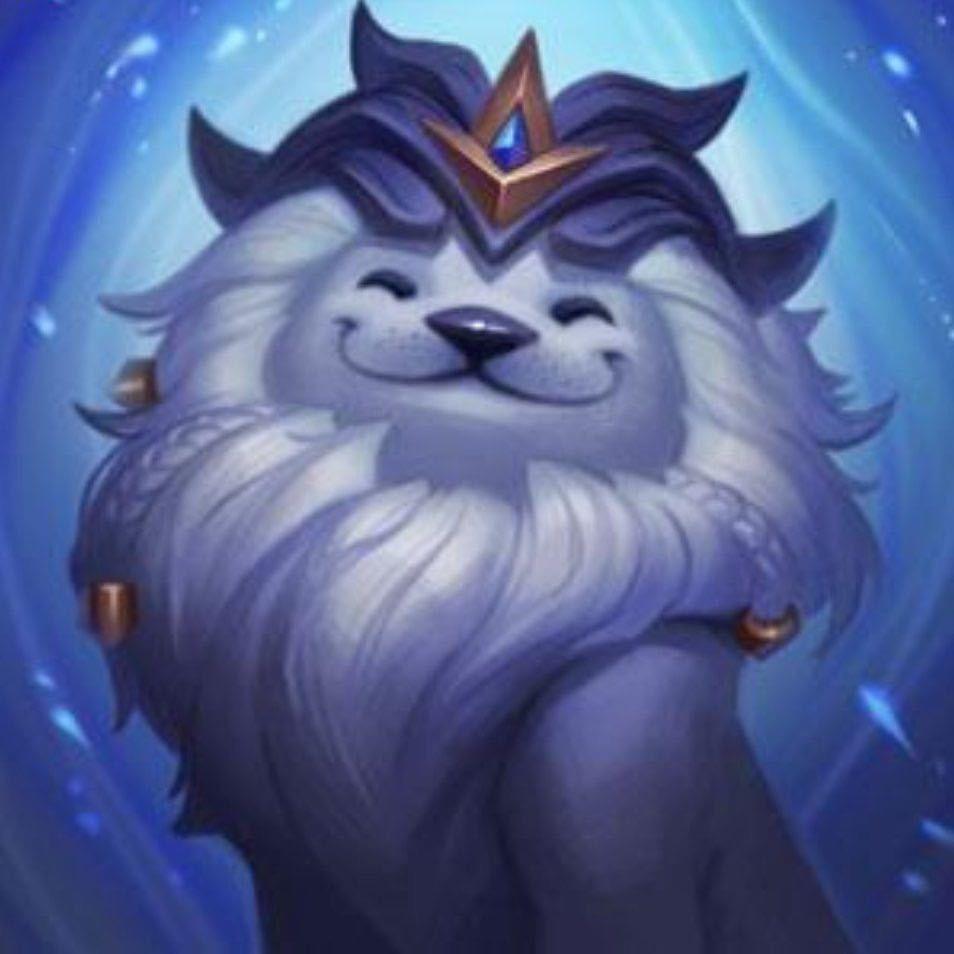 蒋老师lolm（国一辅助）