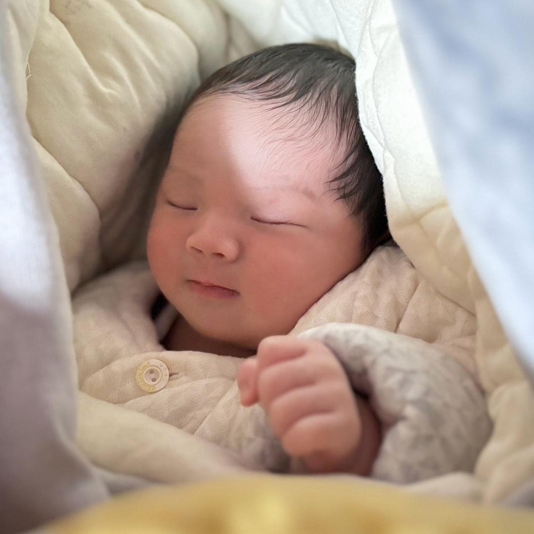 小六一（九月龄）