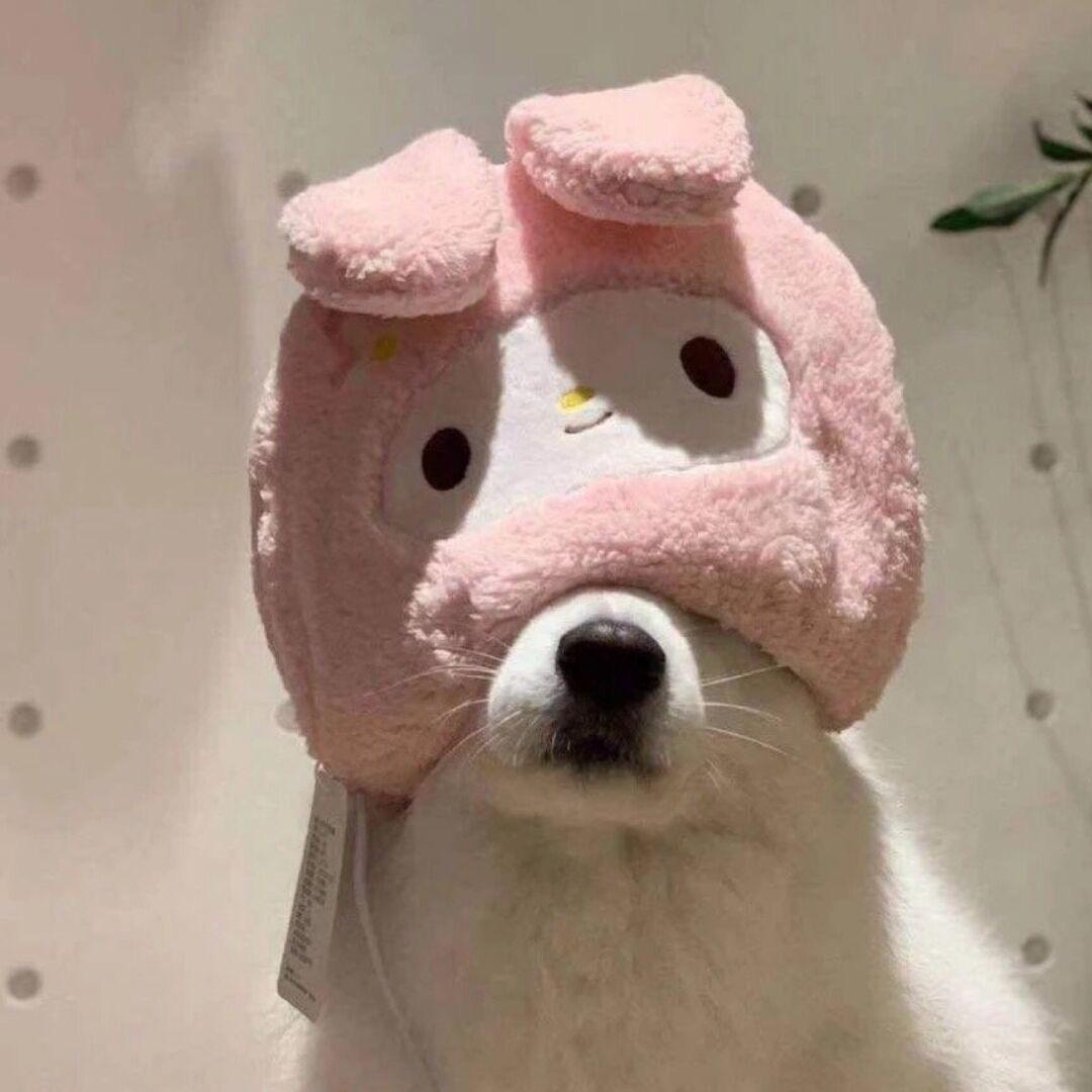 阿敏 min.