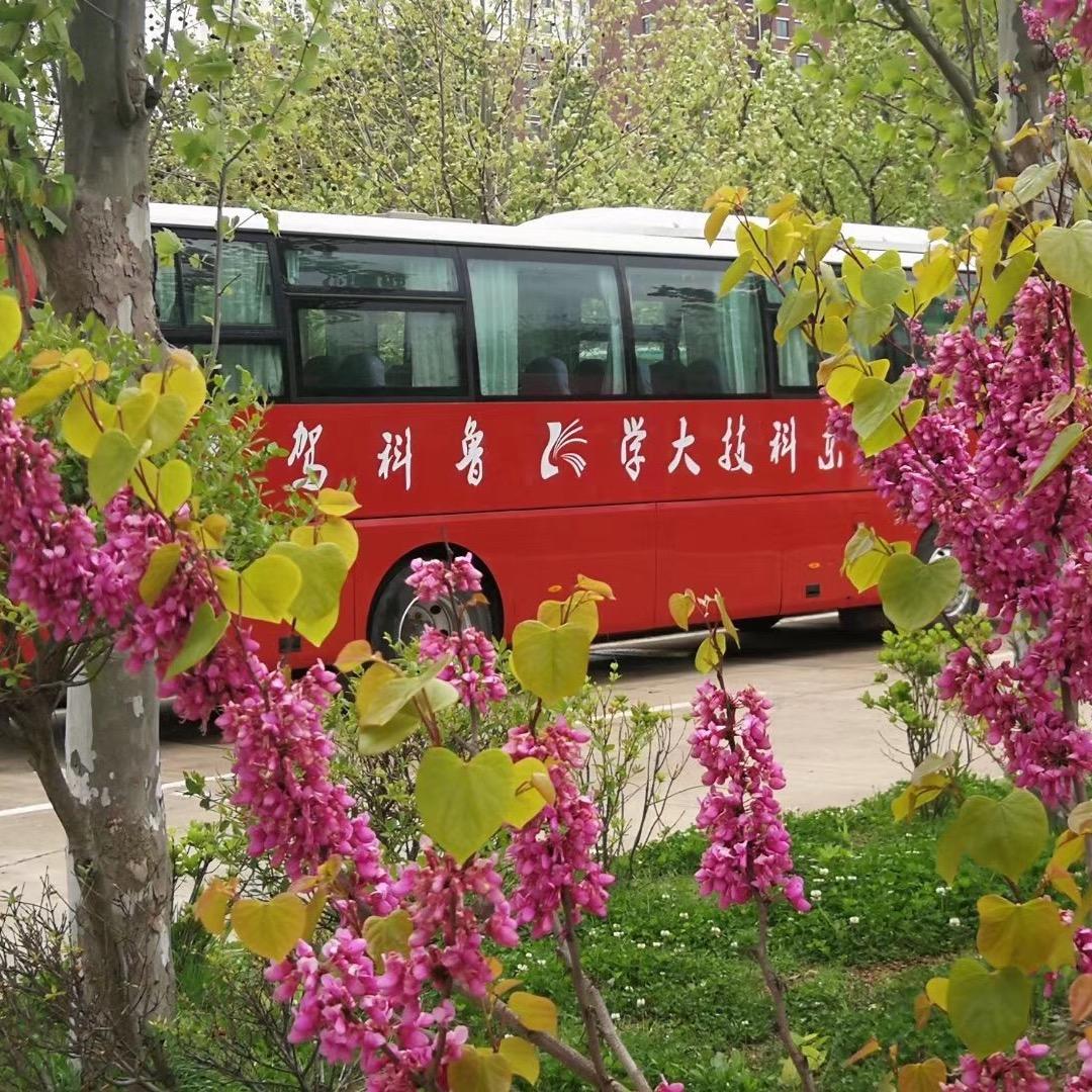 黄岛鲁科驾校（石油校区）