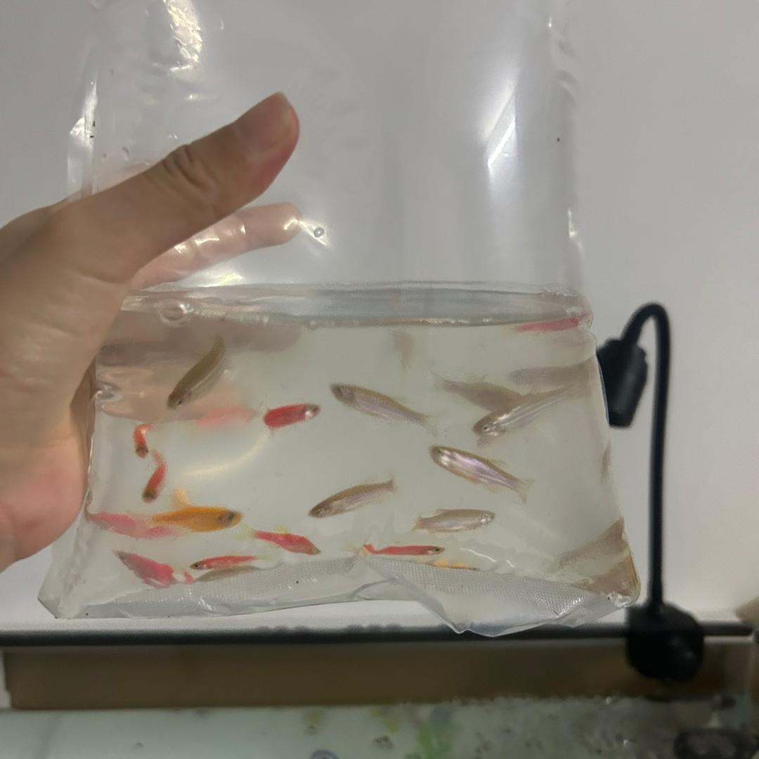 小雨点吖