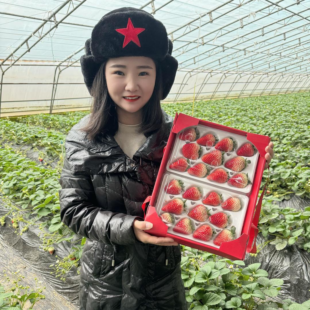 胡婷