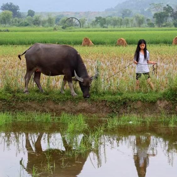 同𓆧尘　　　　　　       🕷️