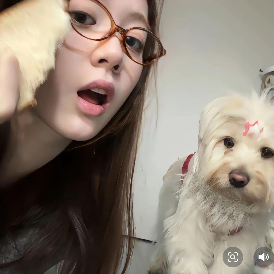不想吃薯条🍟