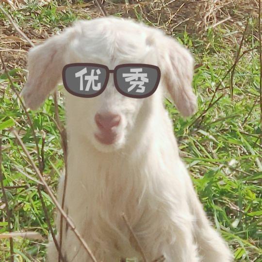 十日探尽长安花