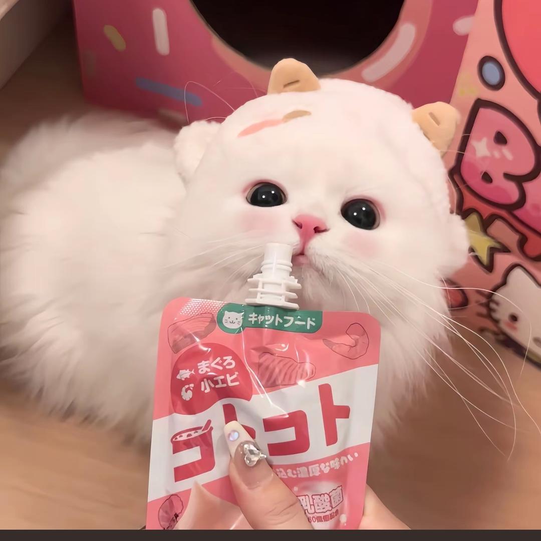 关你🍅啊