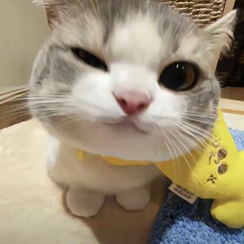 @@@