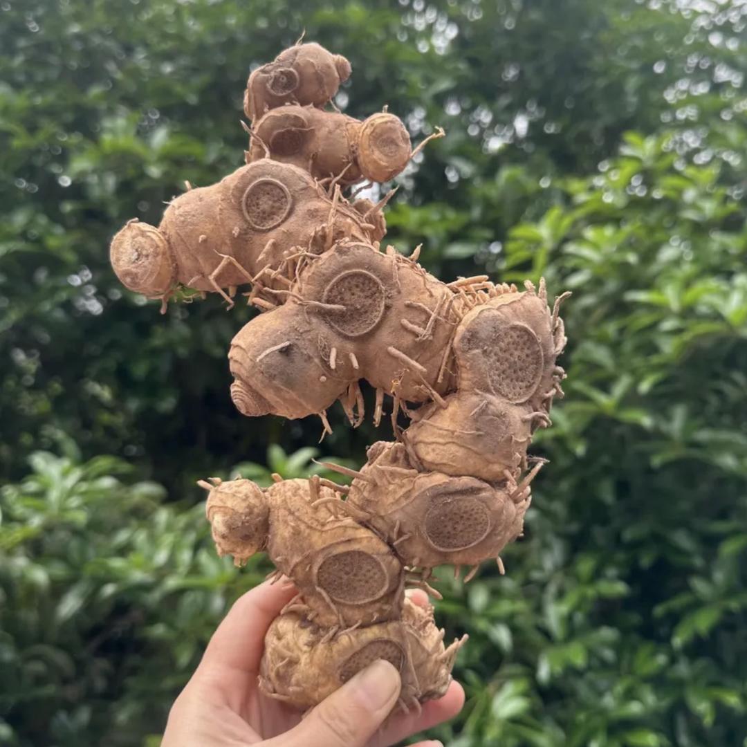 心星土特产精选店