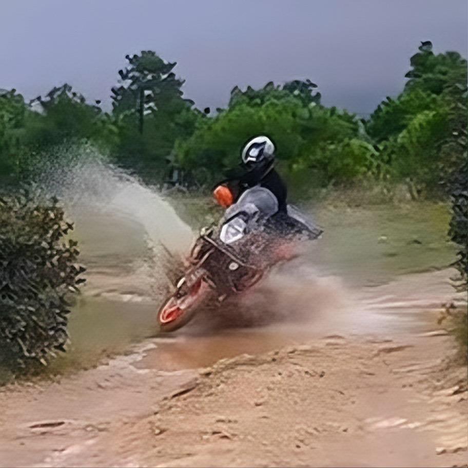 陈风破浪寻泉里▞▙