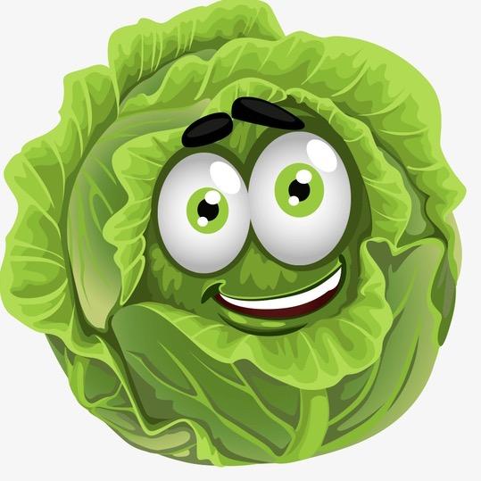 白菜甄选 倍感温暖