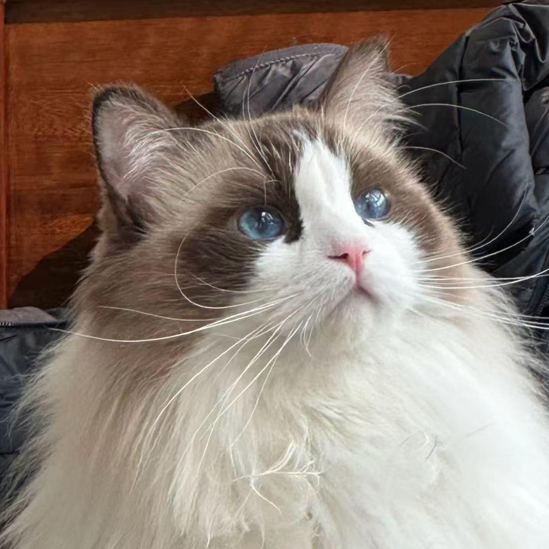 讨厌猜