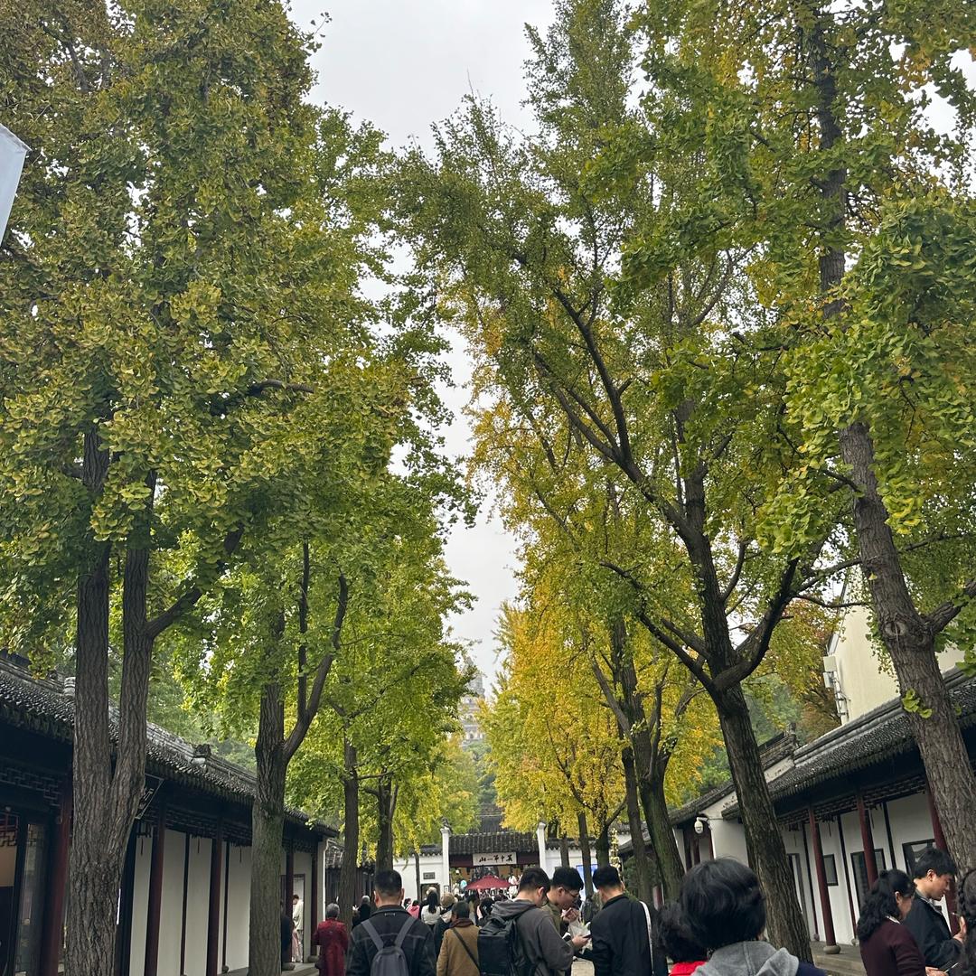 茶余故事里
