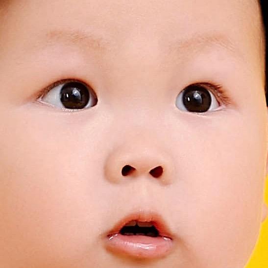 阳殿枫（减肥版