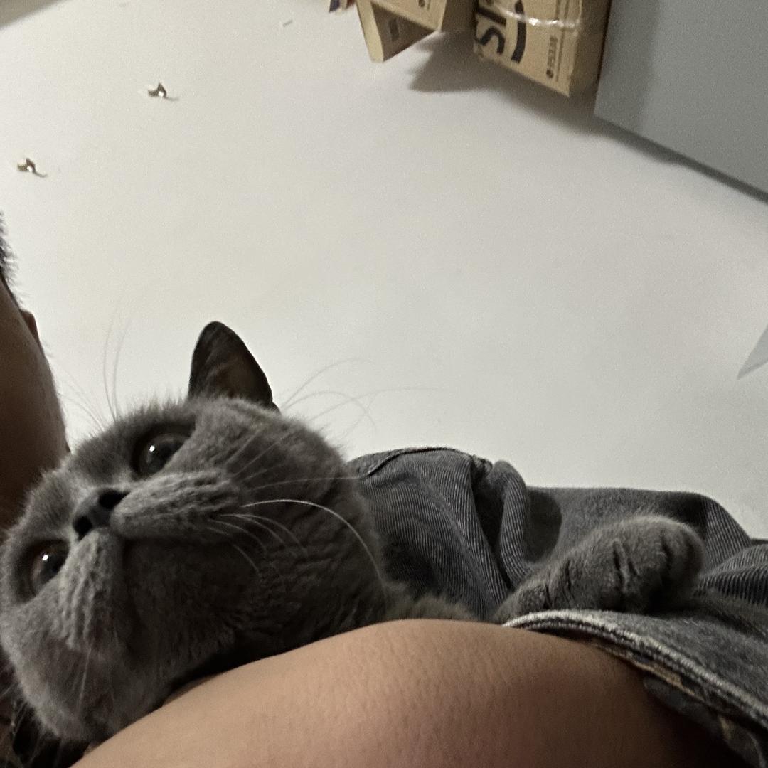 张会计上海代理记账