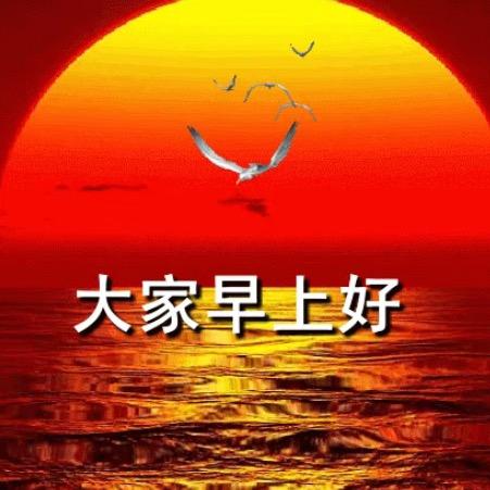 🍎华亭橱窗🍎