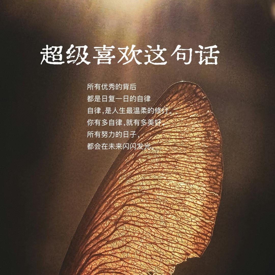 一苇渡江