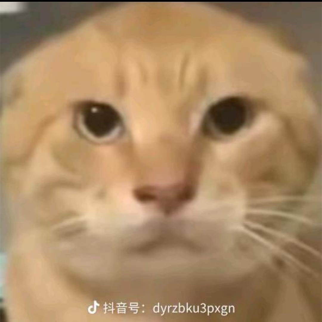 骂我的人都死了