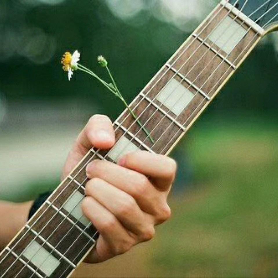 落花忆梦、🎸