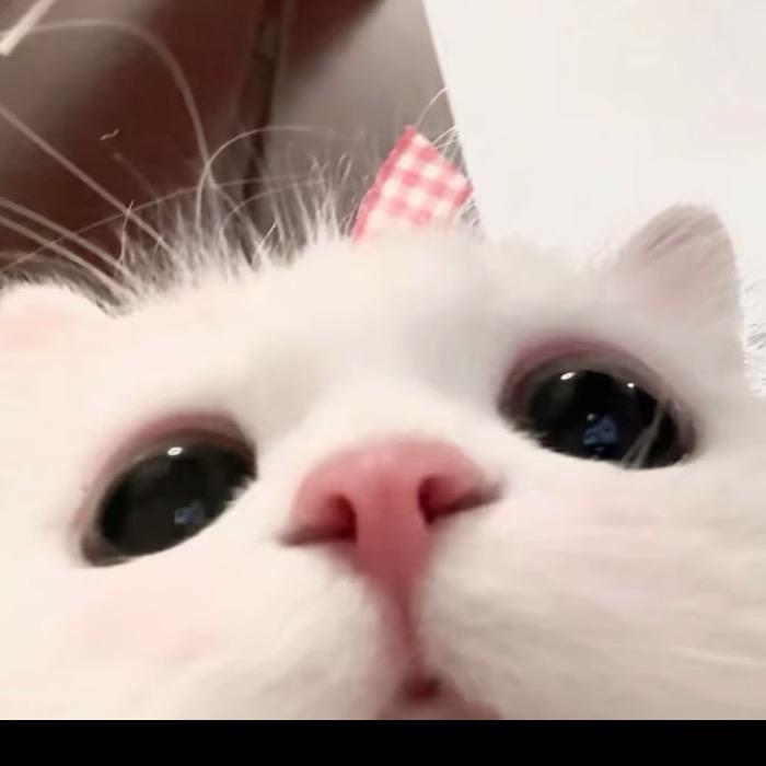 ³³