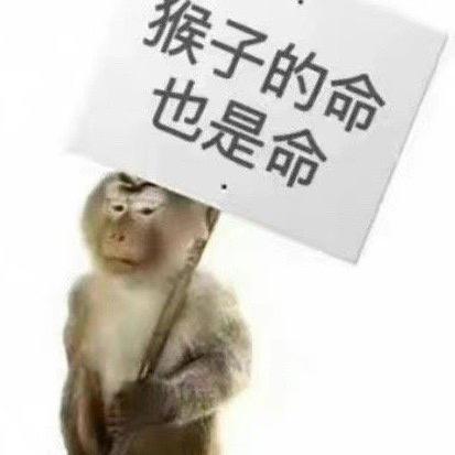 放弃打字了