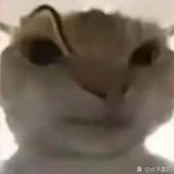 三角洲 Jerry