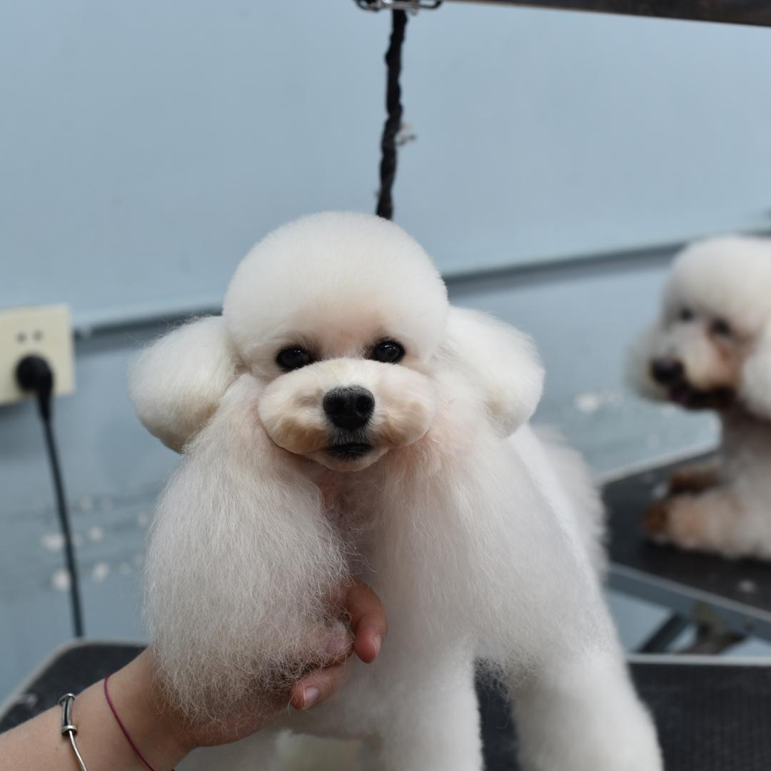 紫悦平安妮好物甄选