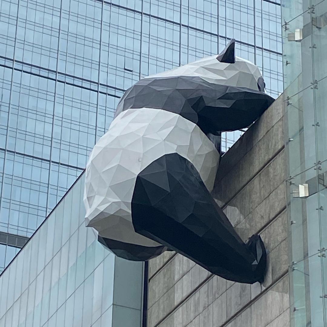 空中搬运工