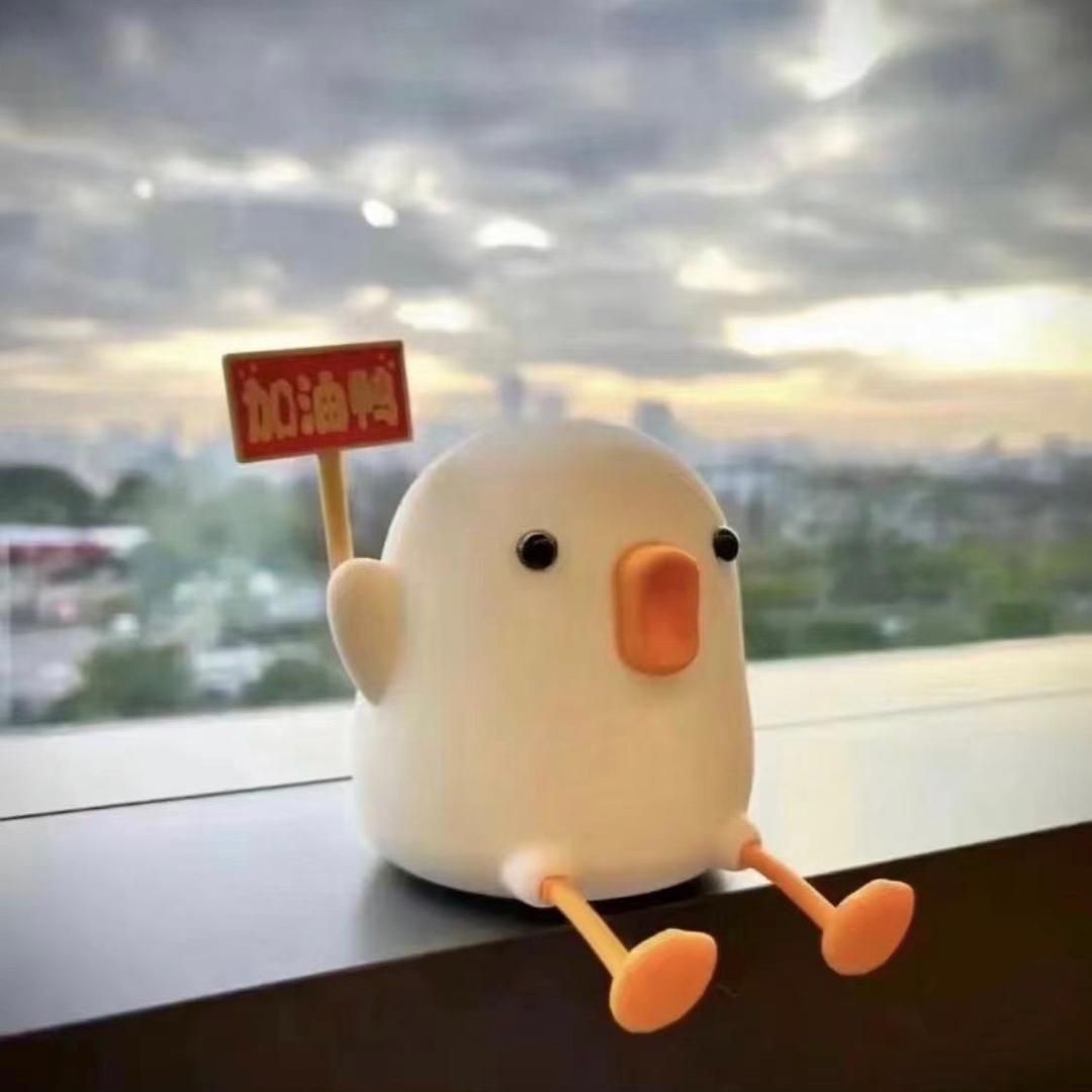 一页书