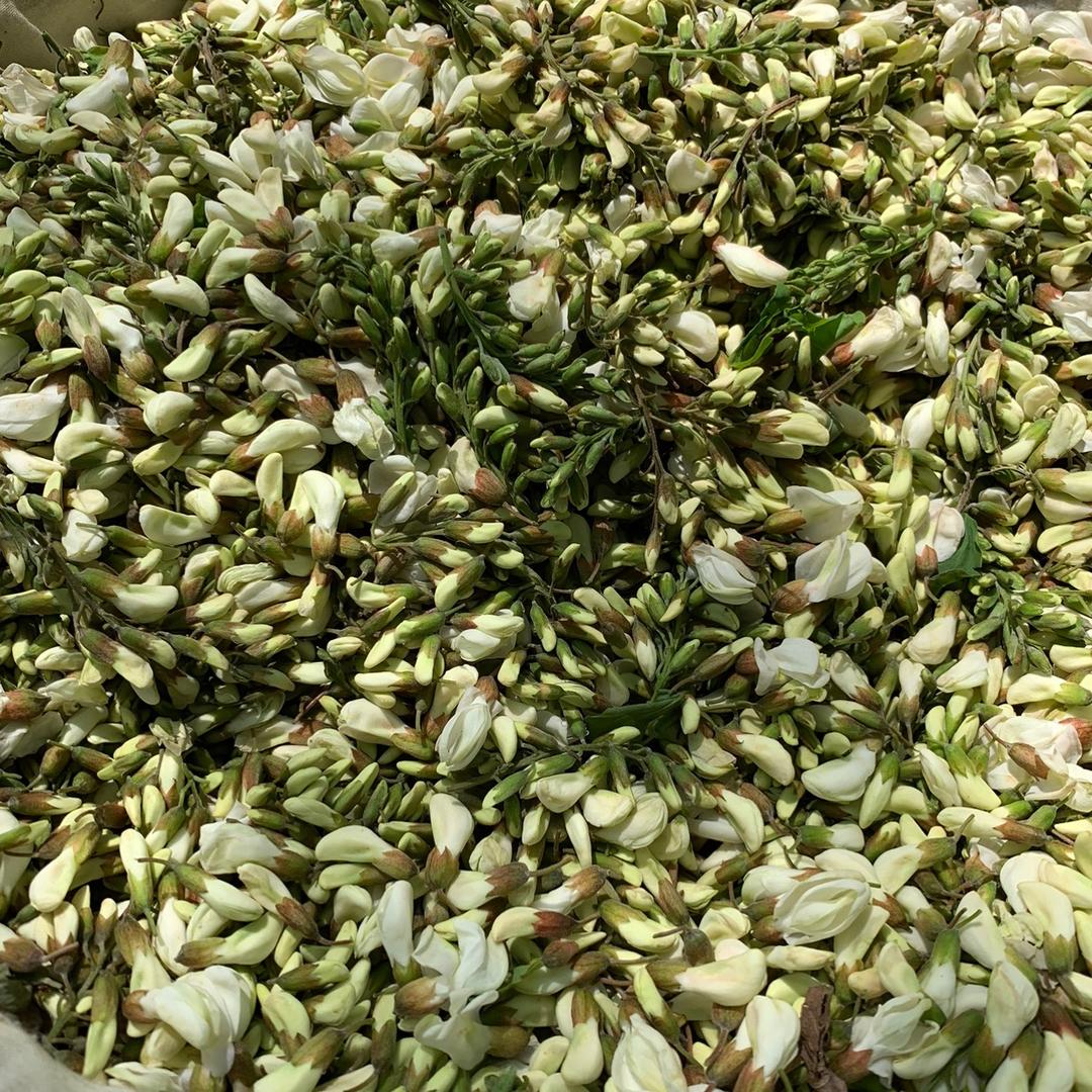 小强的强