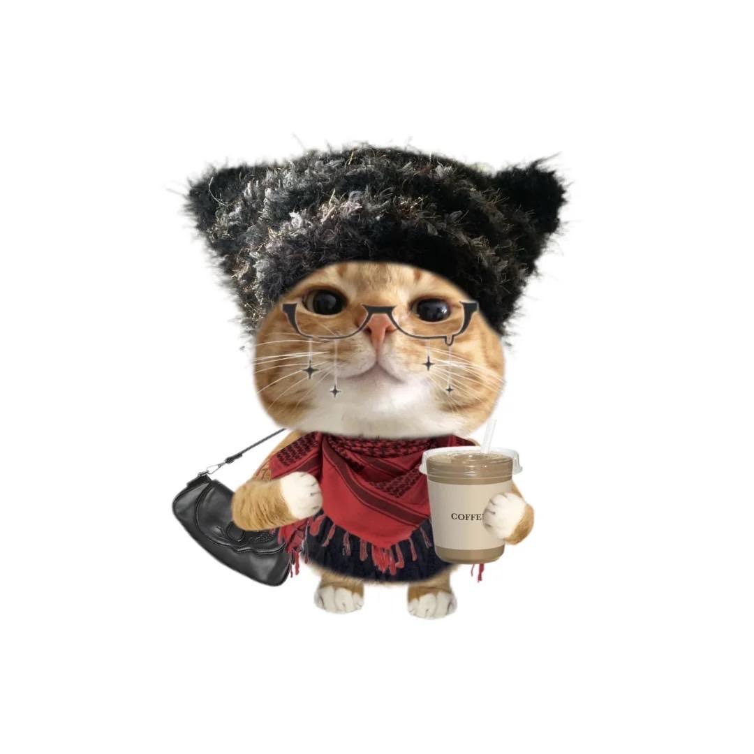 路人✨
