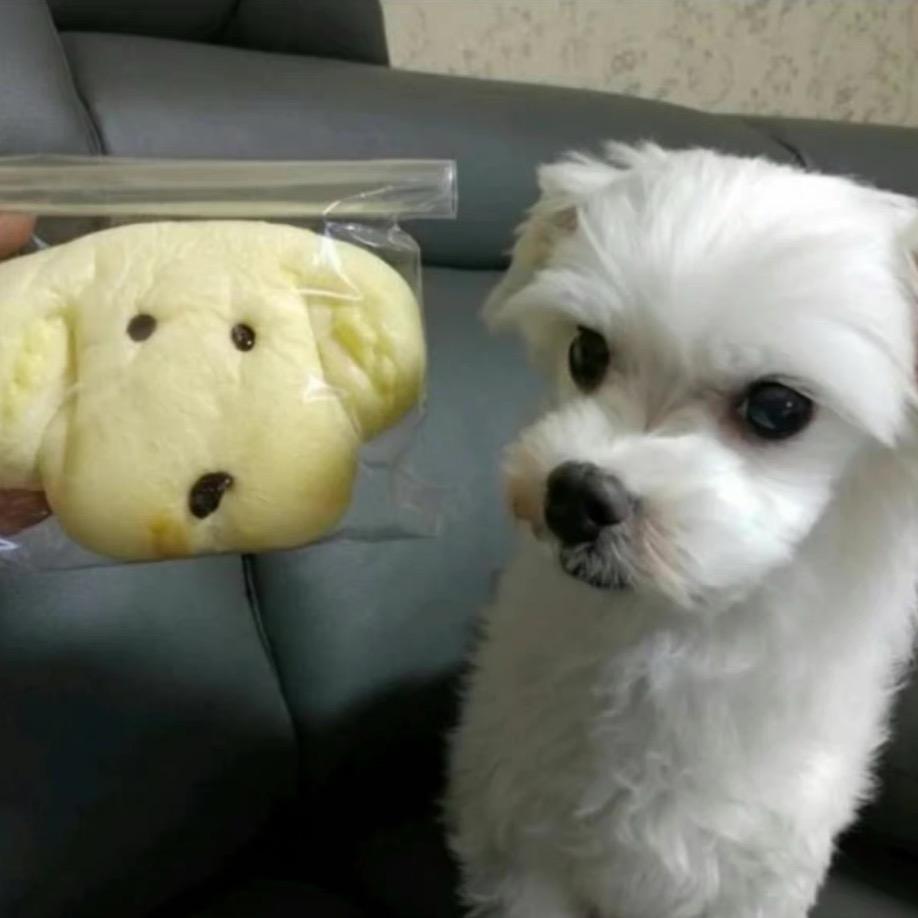 冷脸王