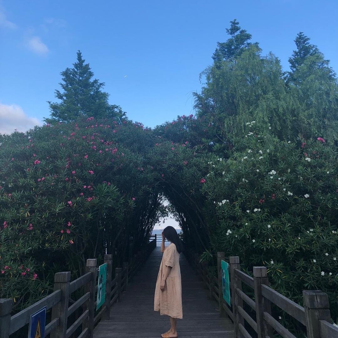 芝士就是力量呀