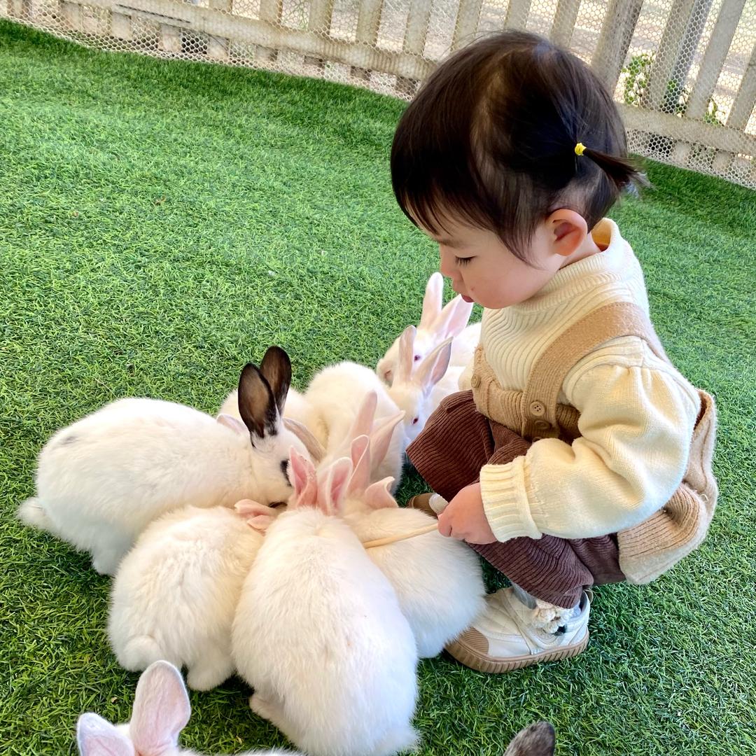 妍妍Baby