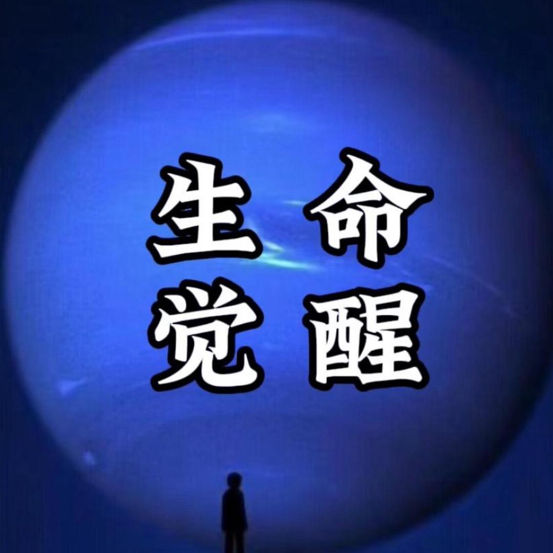 开启你的高维智慧