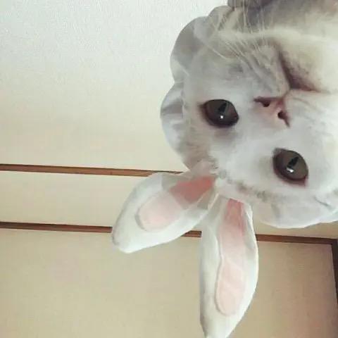 🚪༺🧦࿐🎀