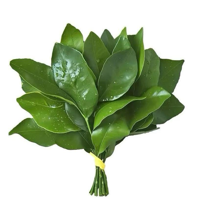 一盘菜