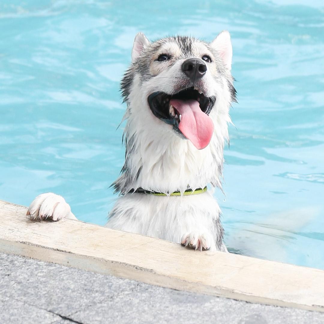 ☁️云朵上的棉花糖🍬🍭