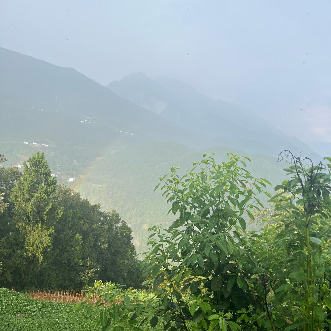 黎明总会来