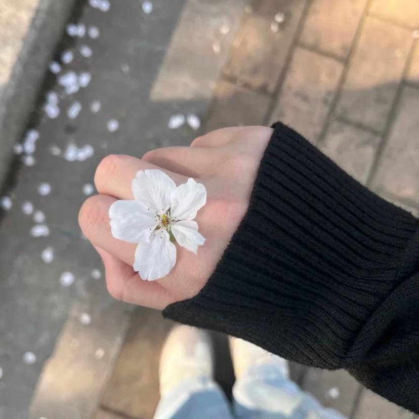 叶子🍃吖
