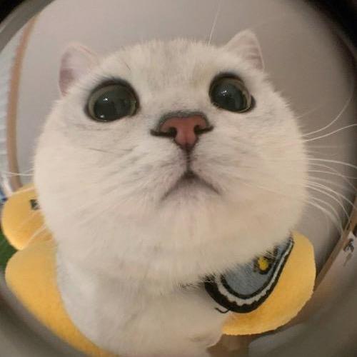 aaaaaa