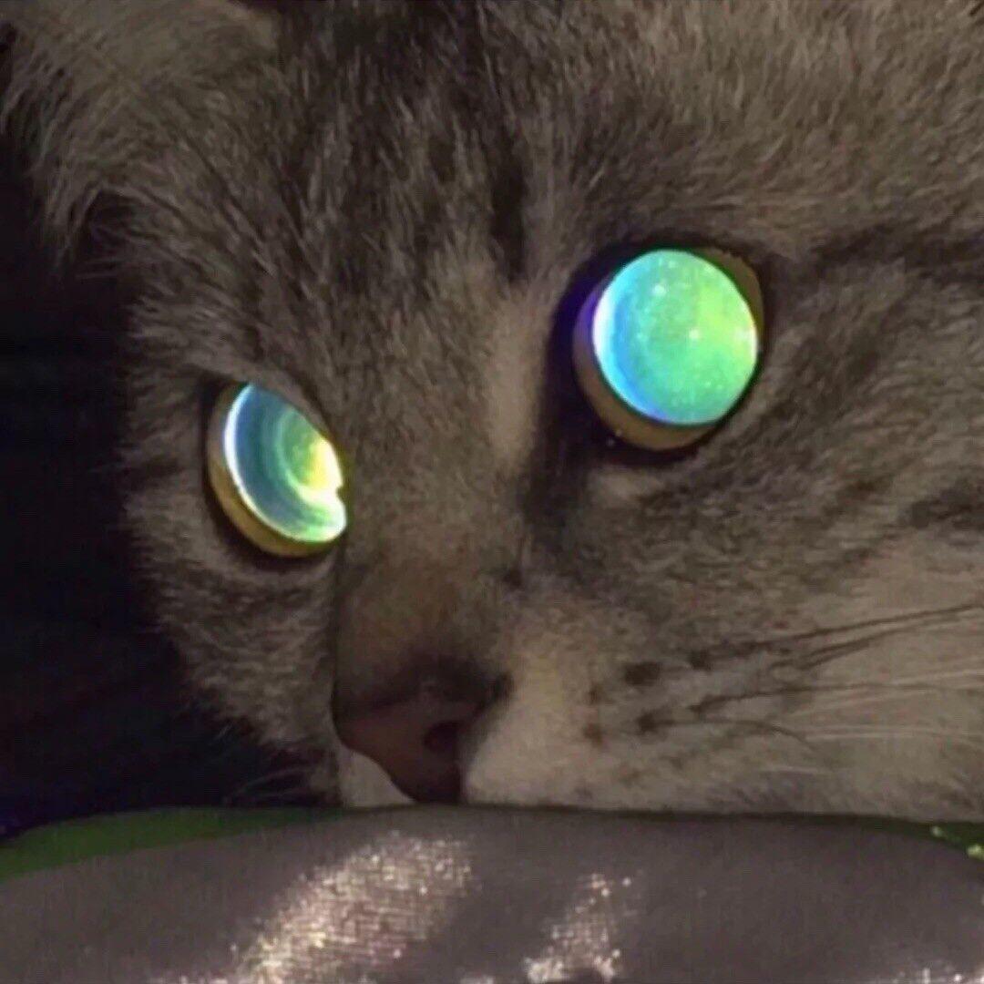 买束玫瑰再回家