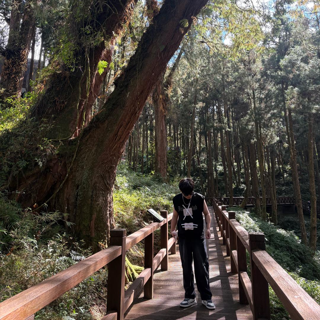 藍軒