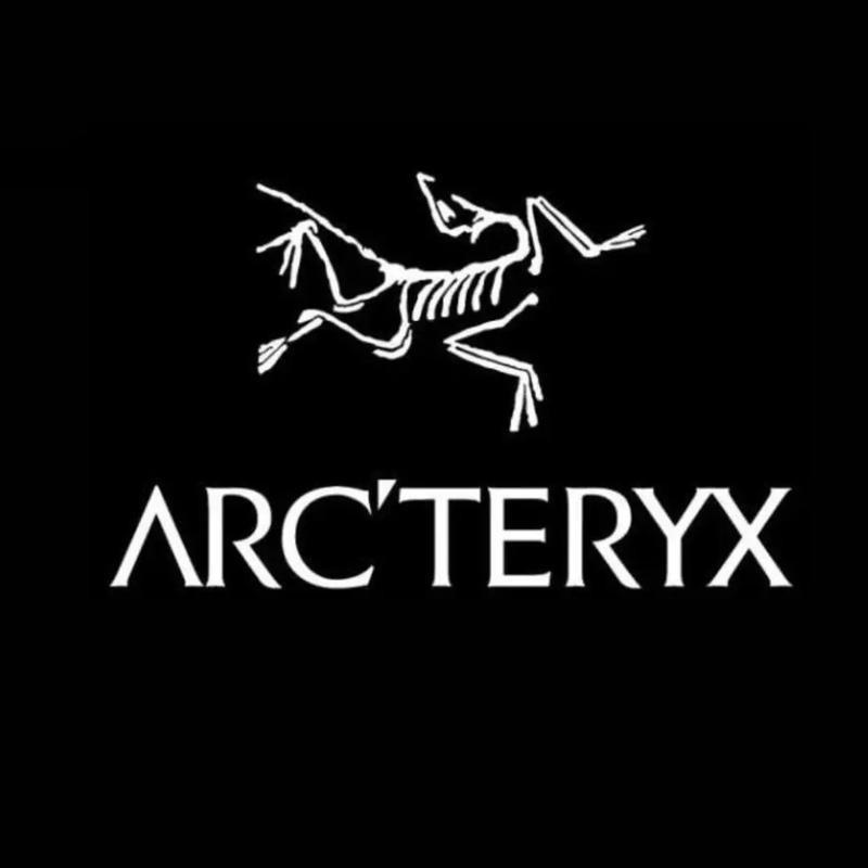 始前鸟飞起来吧