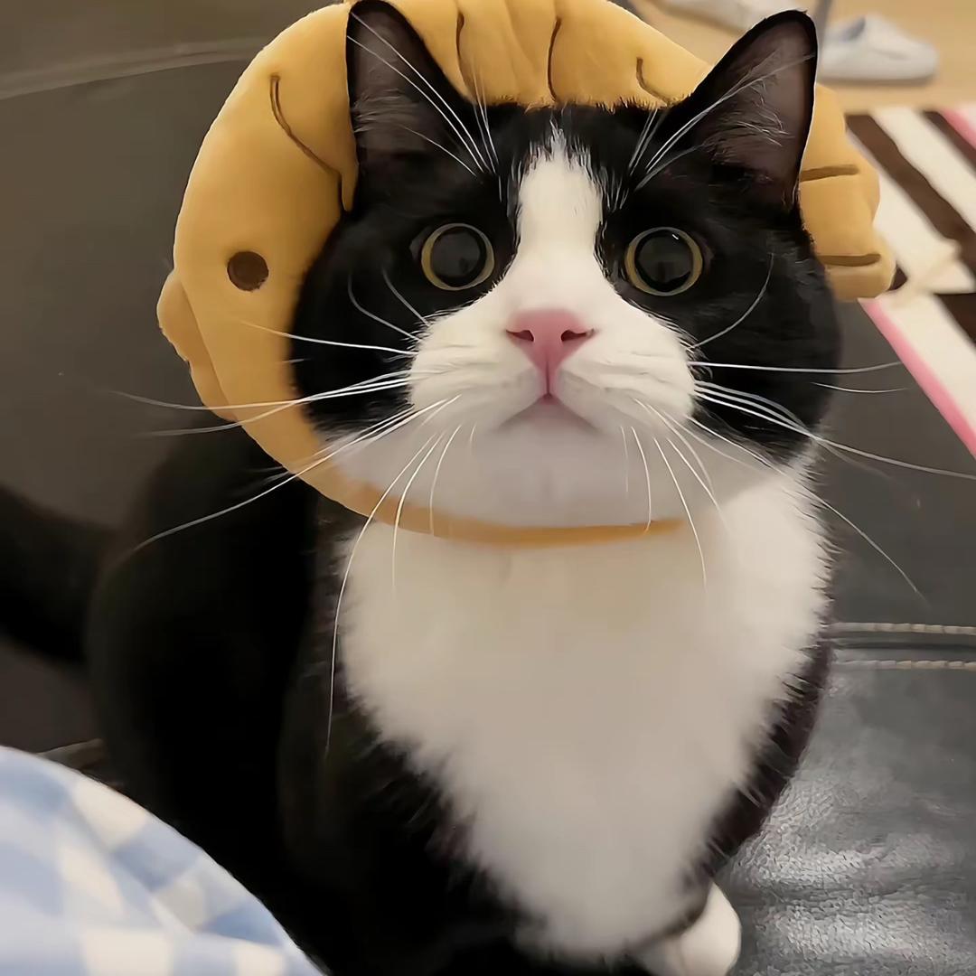 川一  （工体组局 主页上🚗