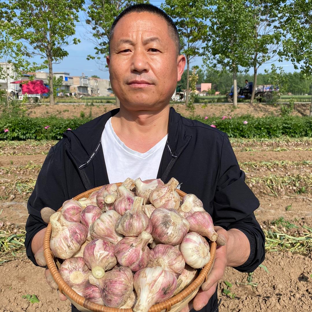 窦老四农产品