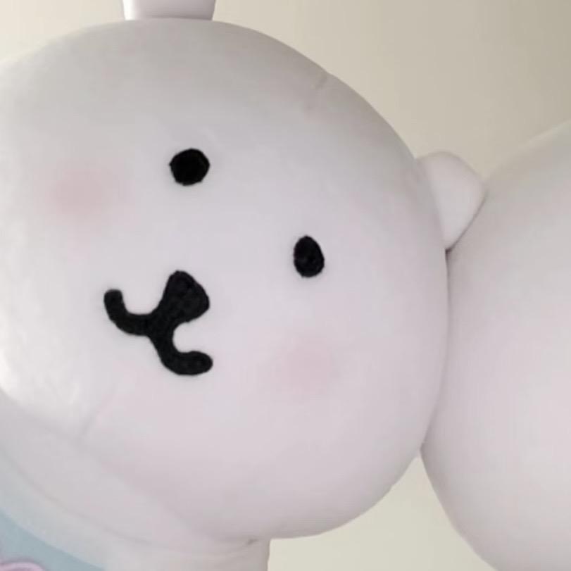 瓦系枳枳⌯'▾'⌯